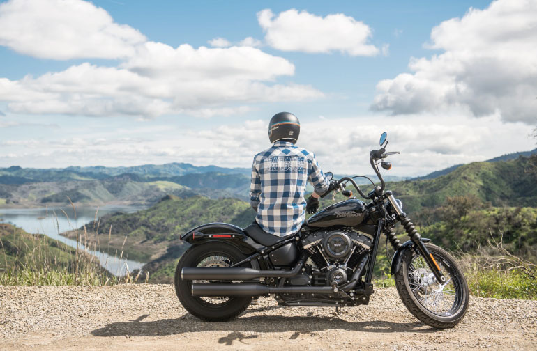 Harley Davidson